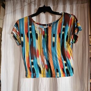 Lily White Multicolor Striped Crop Top